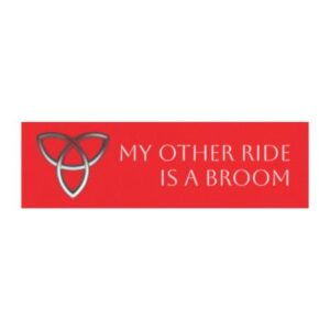 Copy of Witch Car Magnets