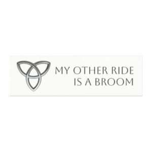 Witch Car Magnets